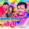 About Water Proof Choli Song